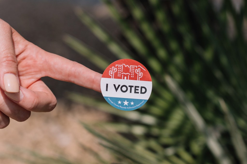 Voter turnout
