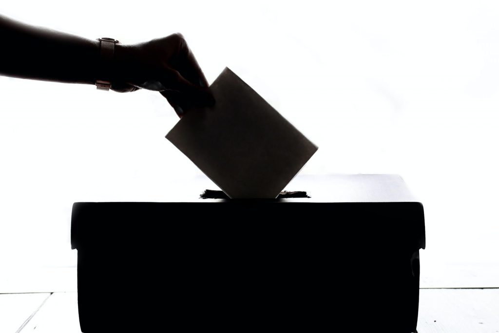 Vote 2020 elections